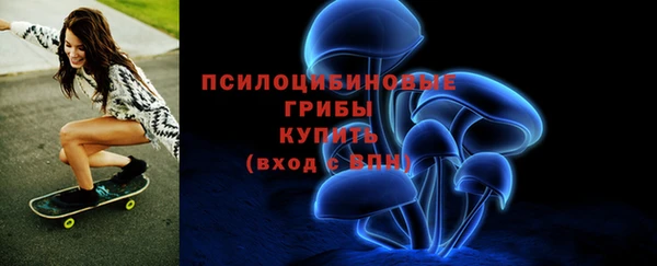круглые Новодвинск
