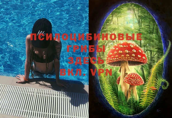 a pvp Новокубанск