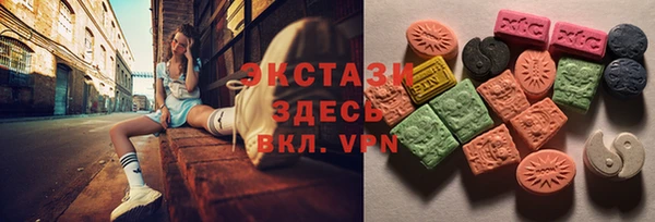 прущий лед Новозыбков