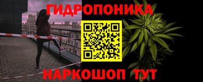 эйфоретик Абакан