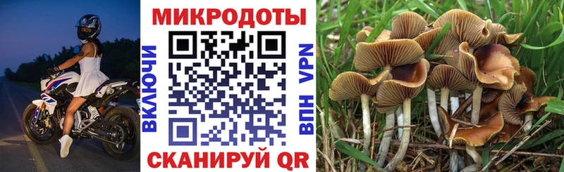 Псилоцибиновые грибы GOLDEN TEACHER  Амурск 