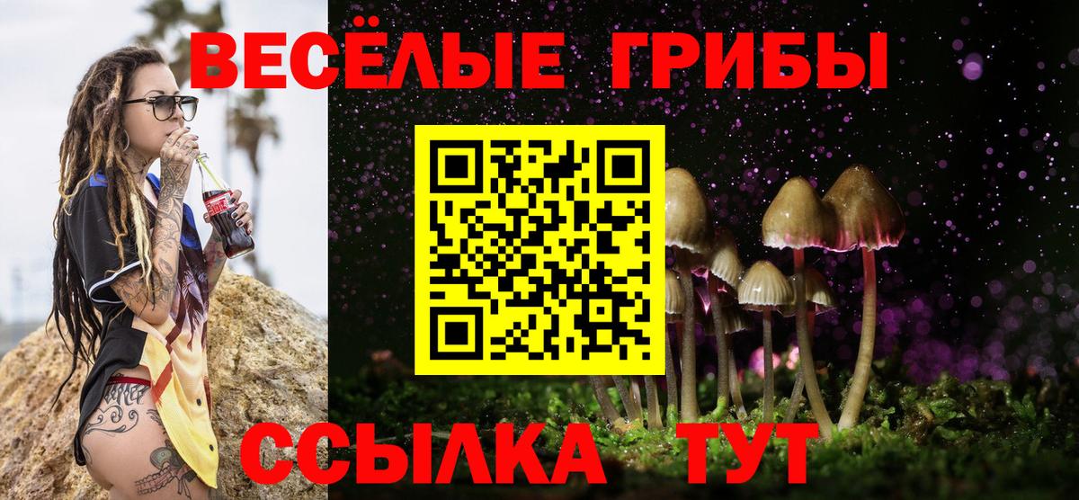 Псилоцибиновые грибы мухоморы Амурск