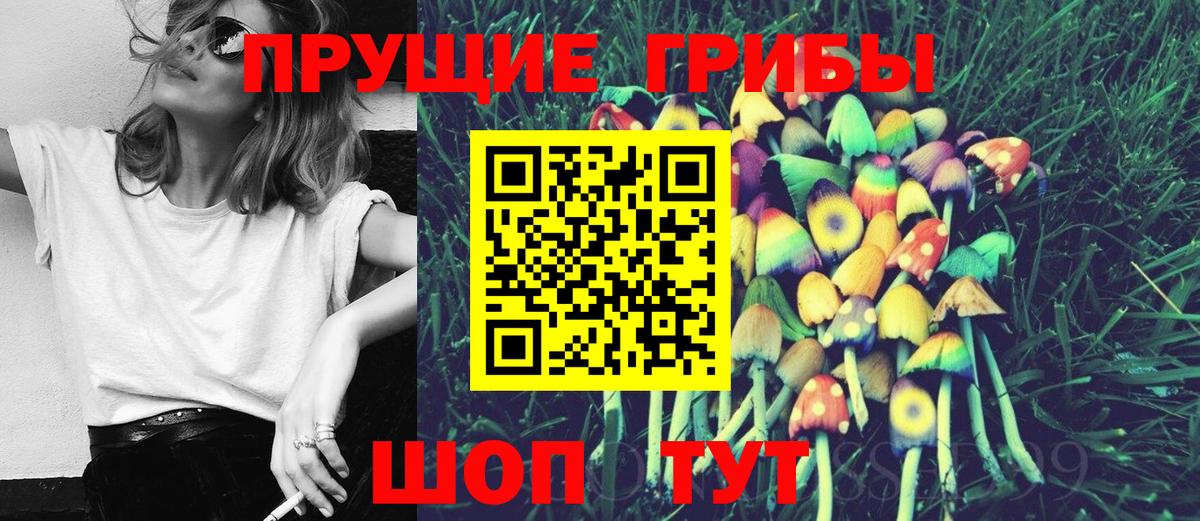 Амурск  Галлюциногенные грибы GOLDEN TEACHER  Вход с VPN 