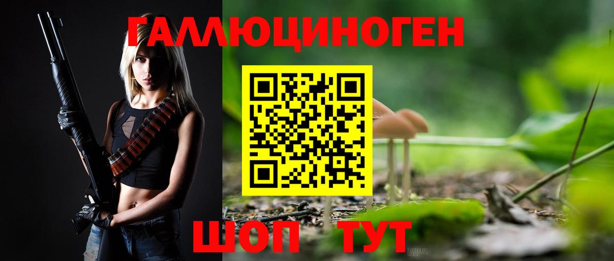 Галлюциногенные грибы Psilocybine cubensis Амурск