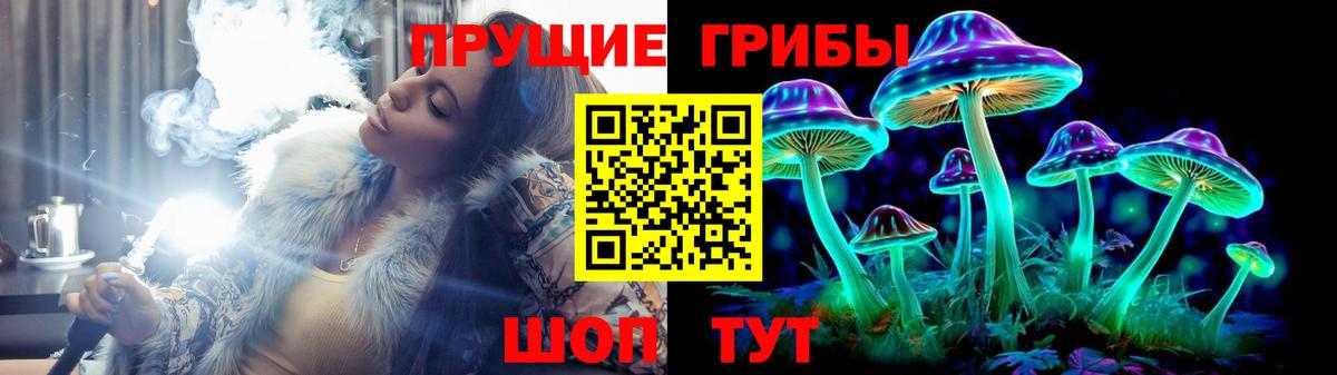 Псилоцибиновые грибы Psilocybine cubensis  как найти   Псилоцибиновые грибы Psilocybe  Амурск 